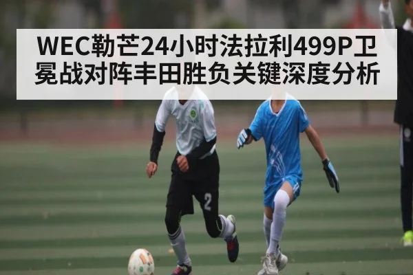 WEC勒芒24小时法拉利499P卫冕战对阵丰田胜负关键深度分析