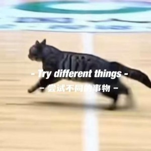乐鱼登录入口-惊现哈基米！广东四川CBA比赛中场地内跑进一只小猫