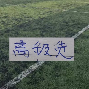 乐鱼-中超前15轮 各队代表球星！|阿马杜|上海海港|成都蓉城足球俱乐部|上海申花足球俱乐部|大连英博_新浪体育_新浪新闻