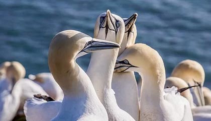 “心态超好”，武磊给西班牙人和中国足球的双重解药